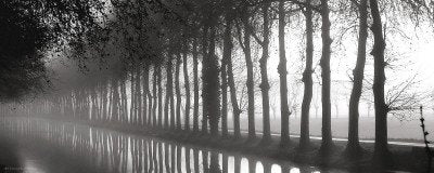 Tree Lined Canal Art Poster Print, 20x8