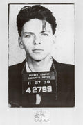 Frank Sinatra Mugshot Poster Collections Art Poster Print, 20x35