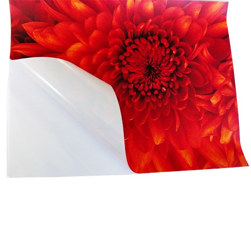 Custom Posters 22X34 Inch No Limit Art by Frank Morrison