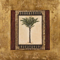 Stately Palm I by Mindeli 24x24 Art Print Poster