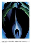 Jack-In-The-Pulpit No. Iv - Poster by Georgia O'Keeffe (35.5X49)