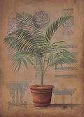 Palm & Furniture II artist: Wilbur 19.69x27.56