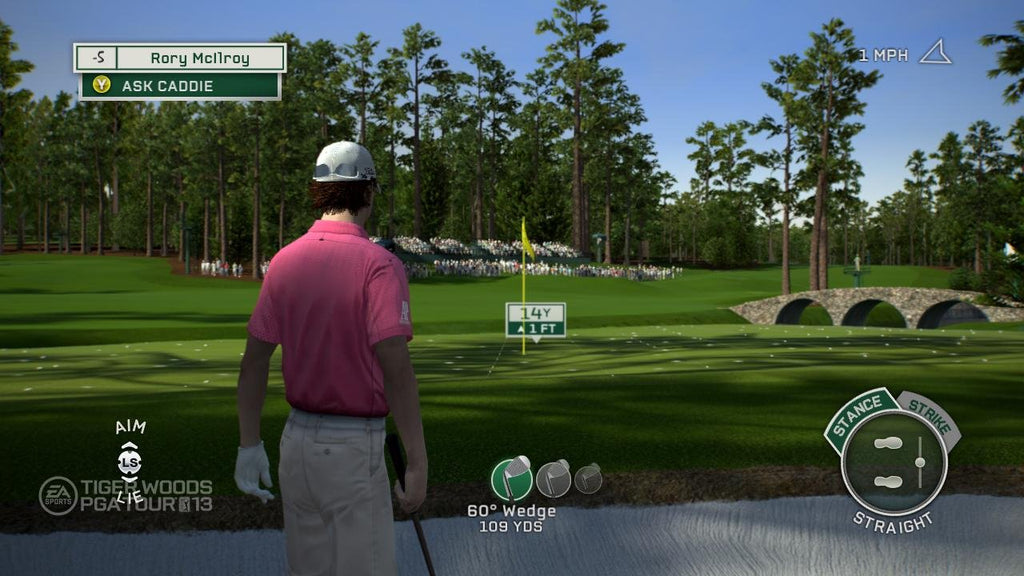 Tiger Woods PGA Tour 13