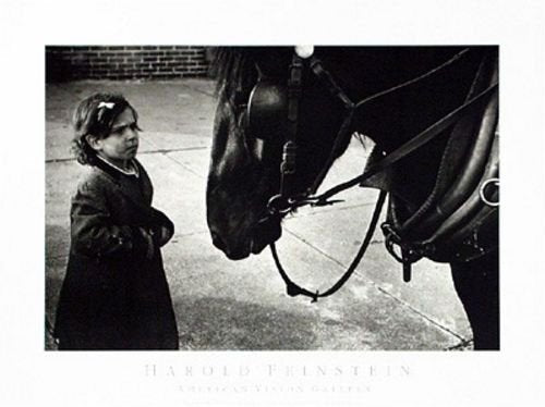 Bruce Teleky Girl with Horse, 1950 by Harold Feinstein 20"x13.5" Art Print Poster