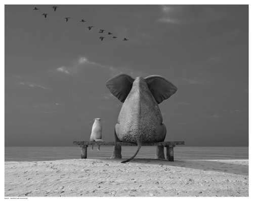 Bruce Teleky Togetherness 14"x11" Art Print Poster