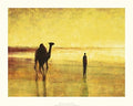 Golden Light by Jonathan Sanders - 15.7 x 19.7 inches - Fine Art Print / Poster