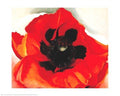 Poppy - Poster by Georgia O'Keeffe (30 x 24)