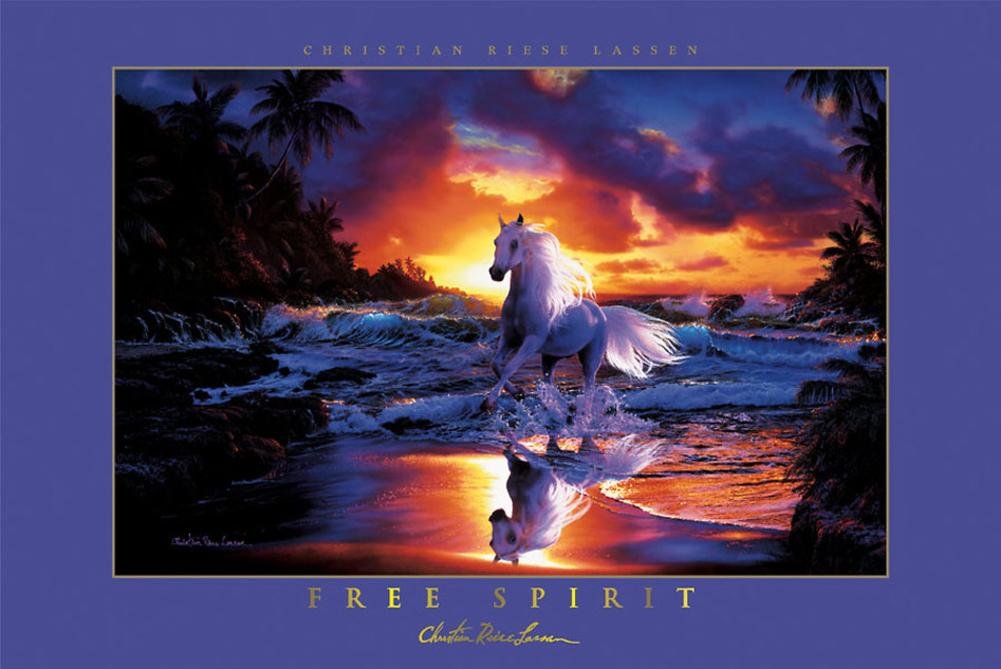 Free Spirit Art Print Art Poster Print by Christian Riese Lassen, 36x24