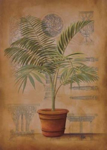 Palm and Furniture II by Wilbur Art Print Size:18 "x 24 "