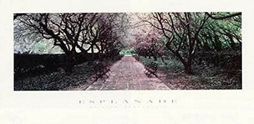 Esplanade by Richard Berenholtz - 18 x 36 inches - Fine Art Print / Poster