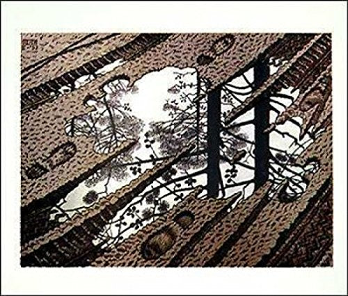 artworkforless.com Puddle by M.C. Escher - 21 3/4 x 25 5/8 inches - Fine Art Print/Poster