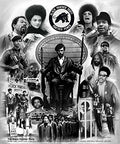 The Black Panther Party Poster Print by Wishum Gregory (20 x 24)