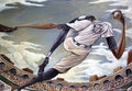 The Pitch - Poster by Frank Morrison (34 x 26)