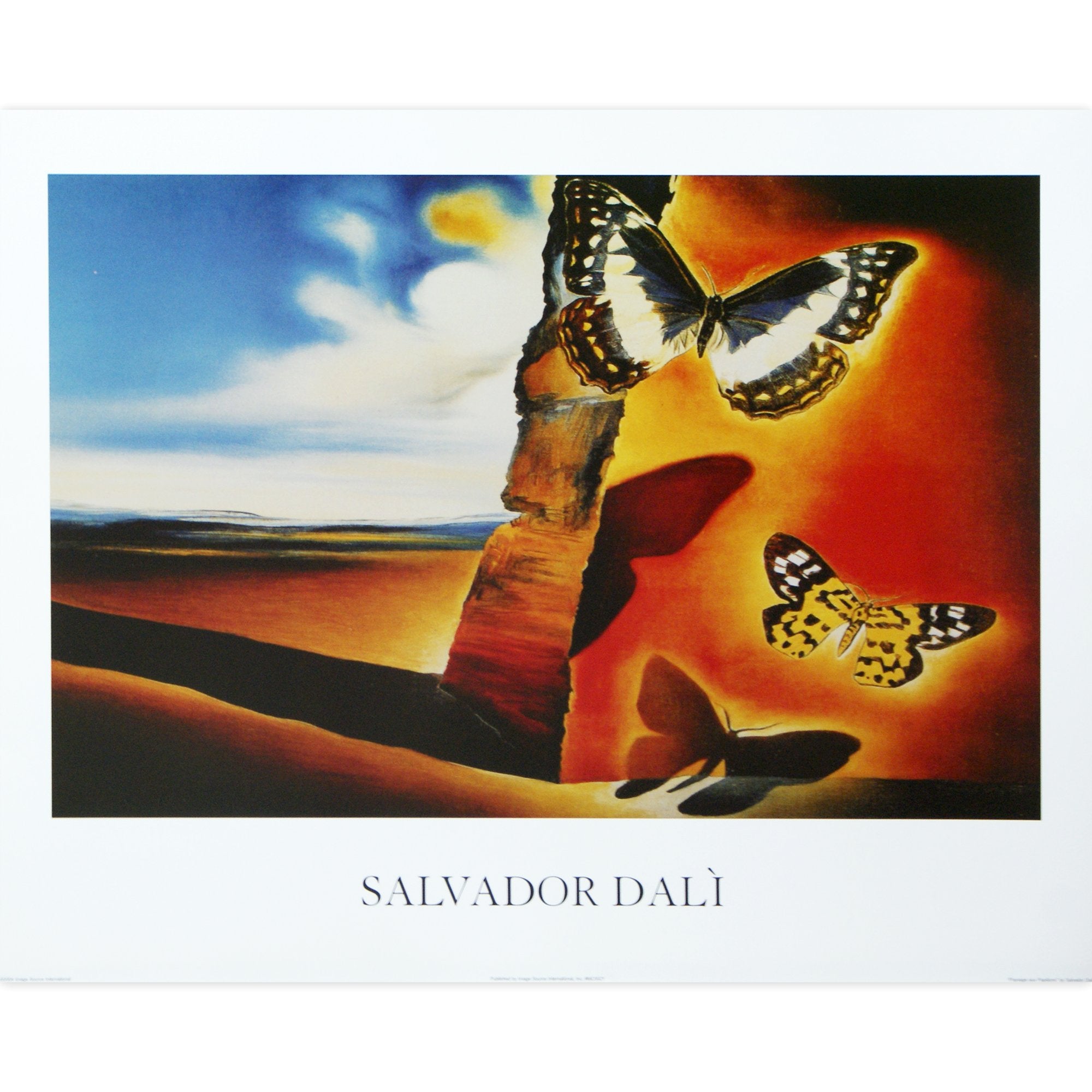 Paysage Aux Papillon Country of Butterflies by Salvador Dali Fine Art Print Poster (20 x 16)
