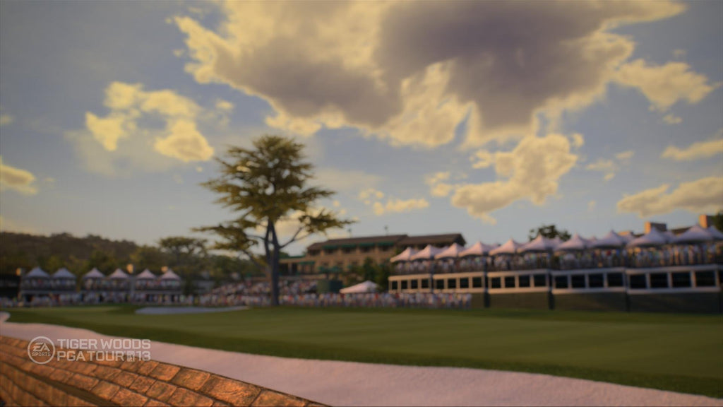 Tiger Woods PGA Tour 13