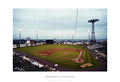 Brooklyn Cyclones Poster Print by Ira Rosen (19 x 13)