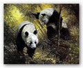 Panda Pair by Spencer Hodge 16"x20" Art Print Poster