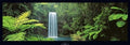 (13x37) Peter Lik Millaa Millaa Falls Queensland Australia Art Print Poster