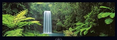 (13x37) Peter Lik Millaa Millaa Falls Queensland Australia Art Print Poster