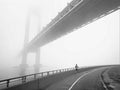 Verrazano Bridge - Poster by Henri Silberman (32 x 24)