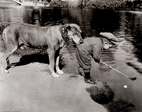 (22x28) Golf Buddies Dog and Young Golfer Photo Art Print Poster by Poster Revolution