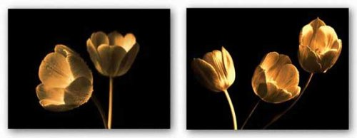 Tulip Duo and Trio Set by Ilona Wellman 24"x18" Art Print Poster