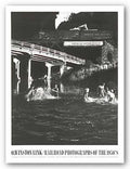Bruce Teleky Hawksbill Creek Swimming Hole, August 9, 1956, Luray, Virginia by O. Winston Link 27"x21.25"