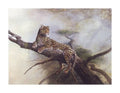 Spotted Beauty by Ruane Manning 22"x28" Art Print Poster