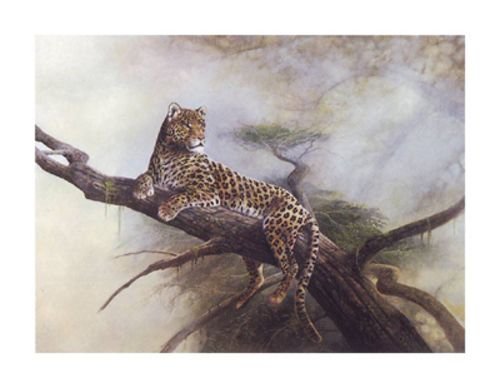 Spotted Beauty by Ruane Manning 22"x28" Art Print Poster
