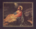 Jesus Praying - Poster by Thomas L. Cathey Collection (28 x 22)