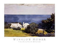 Shore at Bermuda by Winslow Homer - 24 x 32 inches - Fine Art Print / Poster