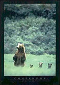 Chaperone by Mark Newman - 34 x 24 inches - Fine Art Print / Poster