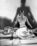 Bruce Teleky Josephine Baker on Tiger Rug, 1925 by McMahan Photo Archive 10"x8" Art Print Poster African-American