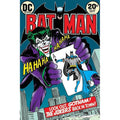 NMR 6846F Joker Cover Decorative Poster