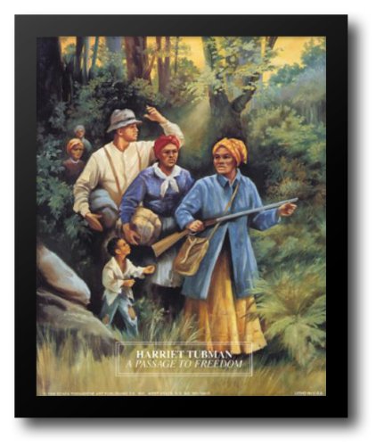 Harriet Tubman: A Passage to Freedom 12x14 Framed Art Print