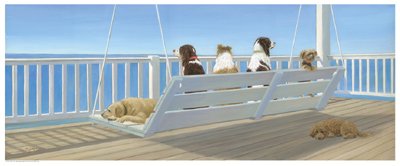 Tails on a Porch Swing Art Print by Carol Saxe - 8 x 20in