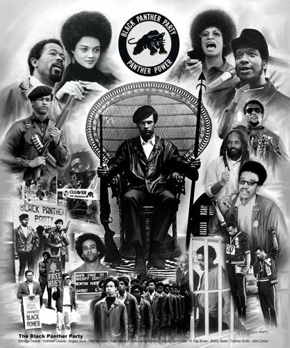 The Black Panther Party Art Poster Print