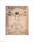 Vitruvian Man, 1492 - Poster by Leonardo Da Vinci (16 x 20)