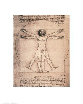 Vitruvian Man, 1492 - Poster by Leonardo Da Vinci (16 x 20)