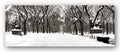 Central Park, Poet's Lane by Igor Maloratsky - 13 x 19 inches - Fine Art Print / Poster