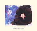 Black Hollyhock, Blue Larkspur by Georgia O'Keeffe - 24 x 29 inches - Fine Art Print / Poster
