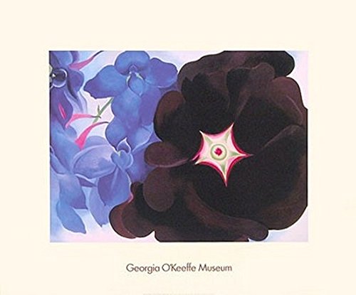 Black Hollyhock, Blue Larkspur by Georgia O'Keeffe - 24 x 29 inches - Fine Art Print / Poster