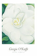 White Camelia - Poster by Georgia O'Keeffe (24 x 36)