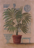 Palm & Furniture I artist: Wilbur 19.69x27.56