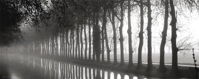 Anonymous Tree Lined Canal 20 x 8 Poster Print