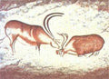 Barewalls Two Reindeer-Lascaux, Art Poster by Douglas Mazonowicz