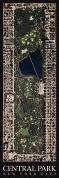 Central Park, New York City by Aric Boyles - 39 x 13 inches - Fine Art Print / Poster