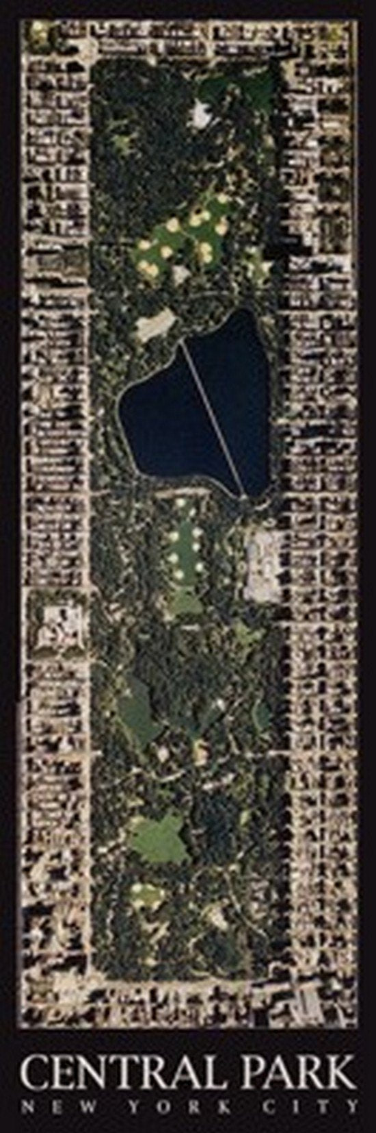 Central Park, New York City by Aric Boyles - 39 x 13 inches - Fine Art Print / Poster