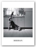 (18x24) Howard Berman Busted Art Print Poster Art Poster Print by Howard Berman, 18x24