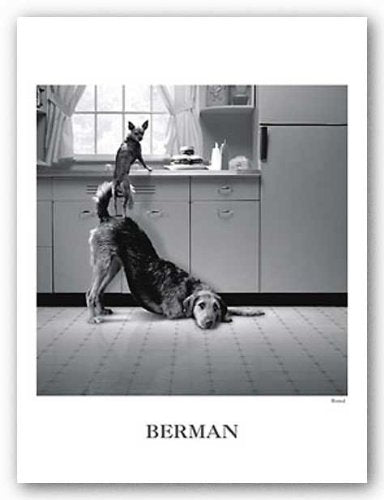 (18x24) Howard Berman Busted Art Print Poster Art Poster Print by Howard Berman, 18x24